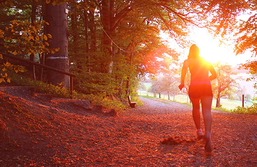 Cardiovascular Risk (hs-CRP) Home Test Kit UK