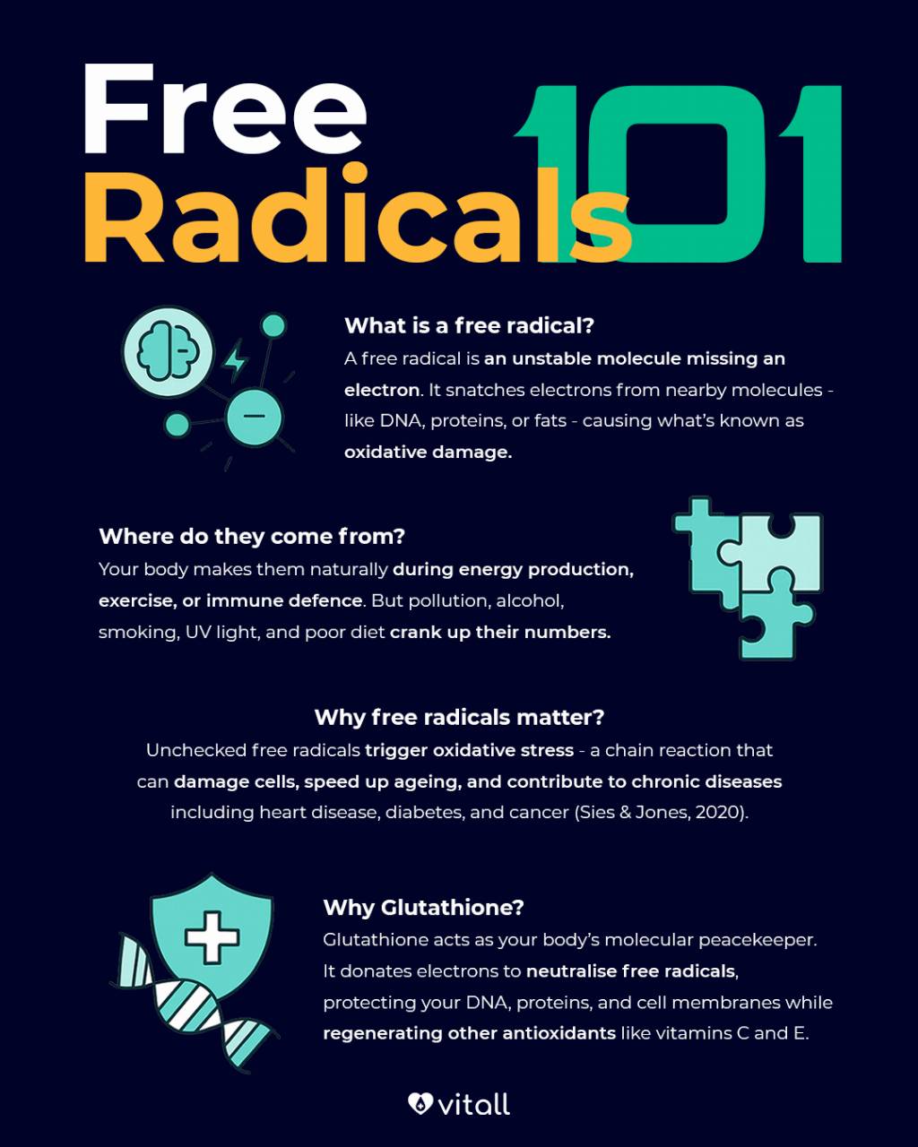Glutathione: The Master Antioxidant Keeping Your Cells in Check 317-freerads1.png